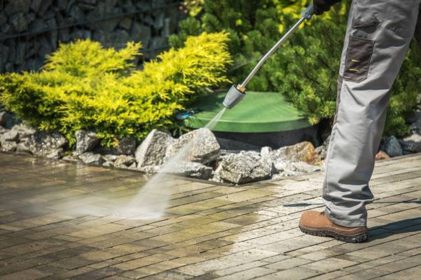 Best Spring Cleaning  in East Troy, WI