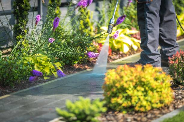 Best House Exterior Washing  in East Troy, WI